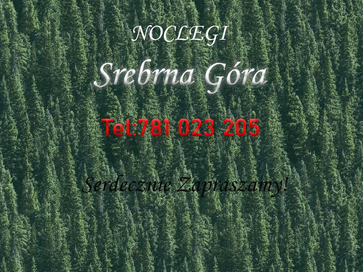 Noclegi Pod Twierdza Srebrna Gora Exterior photo